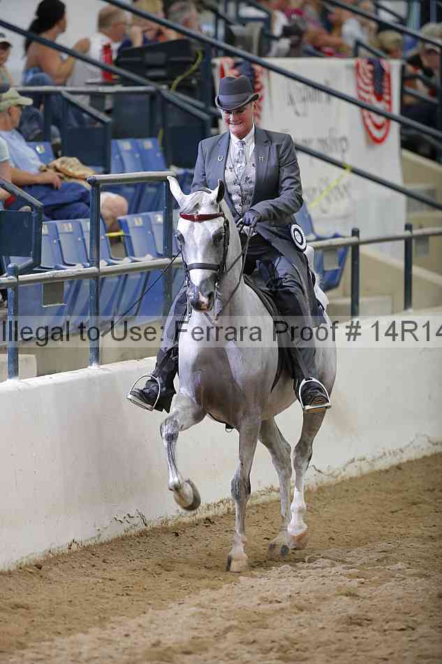 Proof Number 14r14_5565