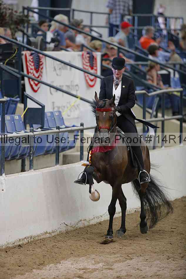 Proof Number 14r14_5569