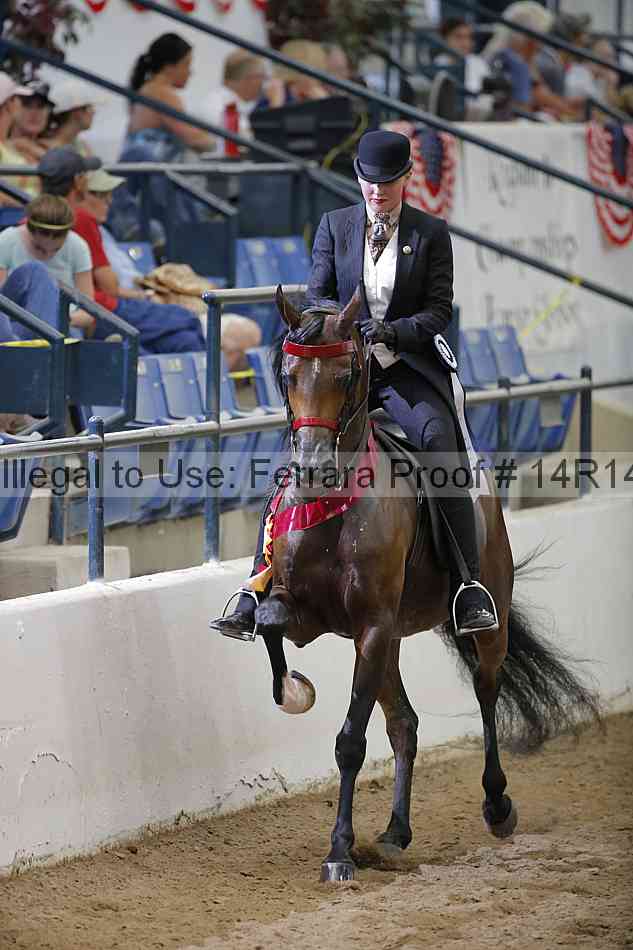 Proof Number 14r14_5570
