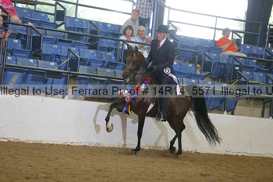 Proof Number 14r14_5571