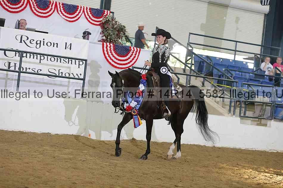 Proof Number 14r14_5582