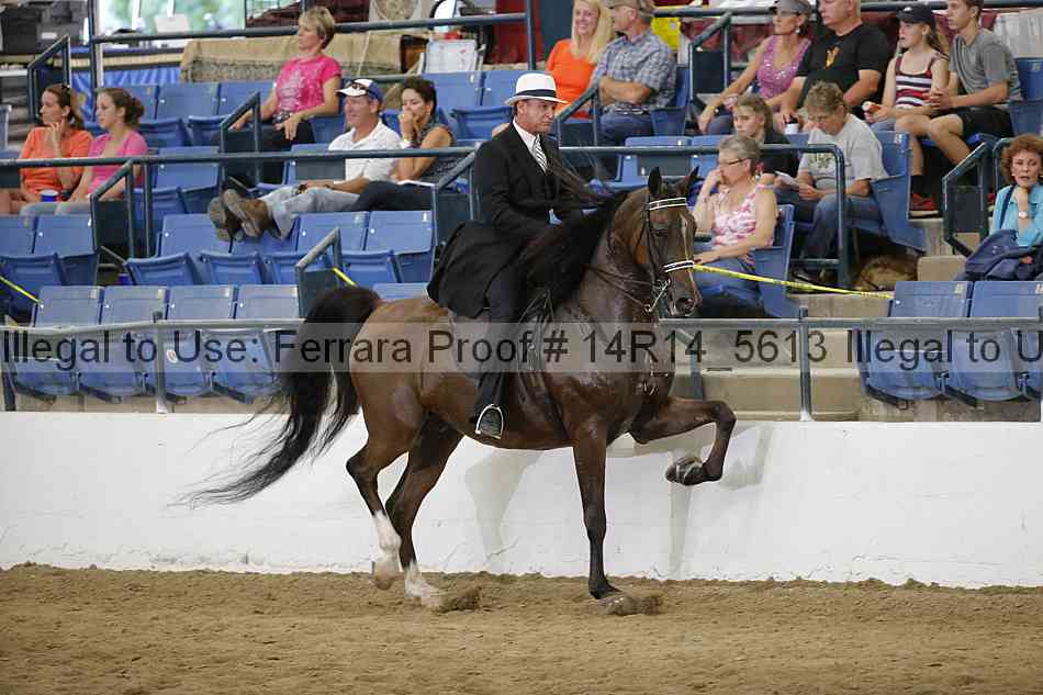 Proof Number 14r14_5613