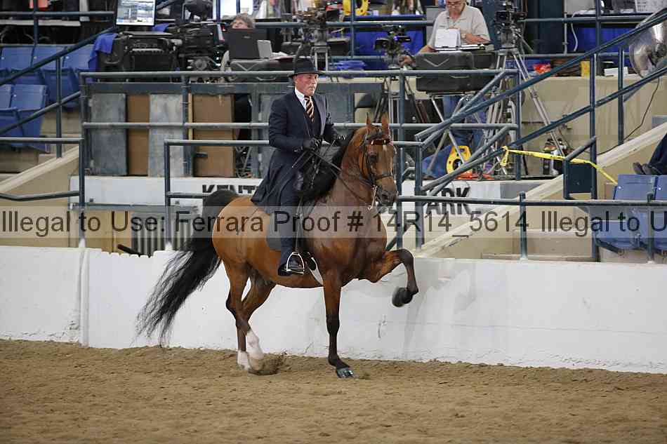 Proof Number 14r14_5614