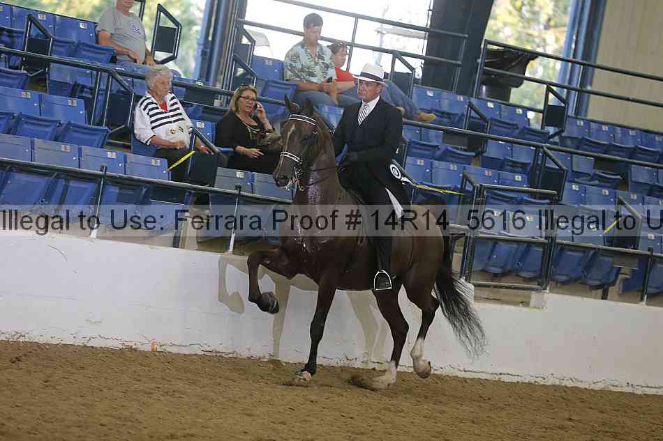 Proof Number 14r14_5616