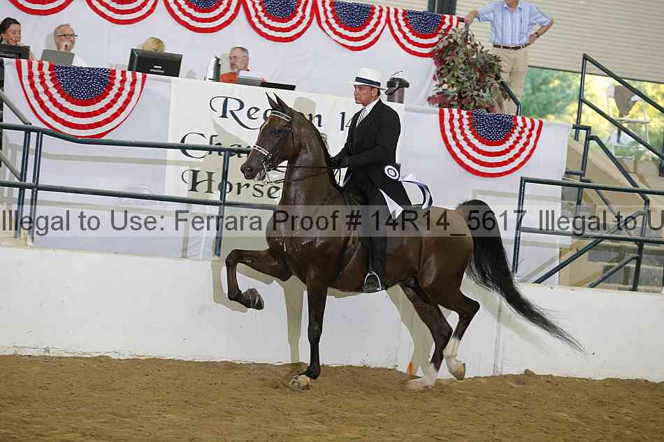 Proof Number 14r14_5617