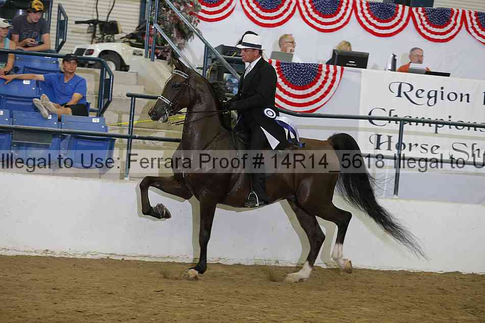 Proof Number 14r14_5618