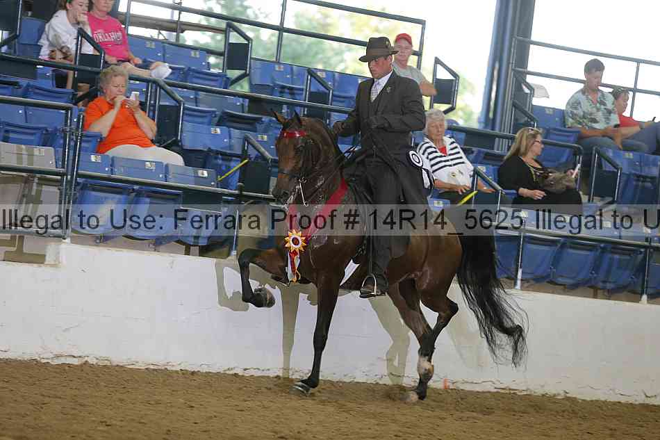 Proof Number 14r14_5625