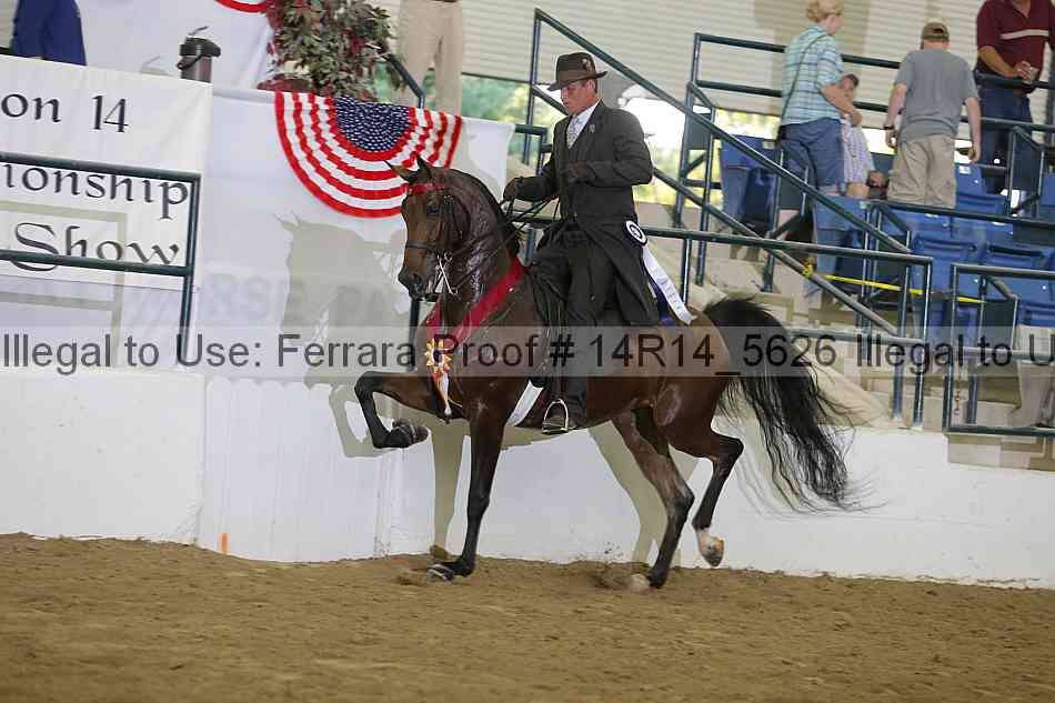 Proof Number 14r14_5626
