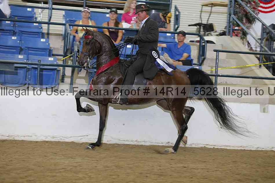 Proof Number 14r14_5628