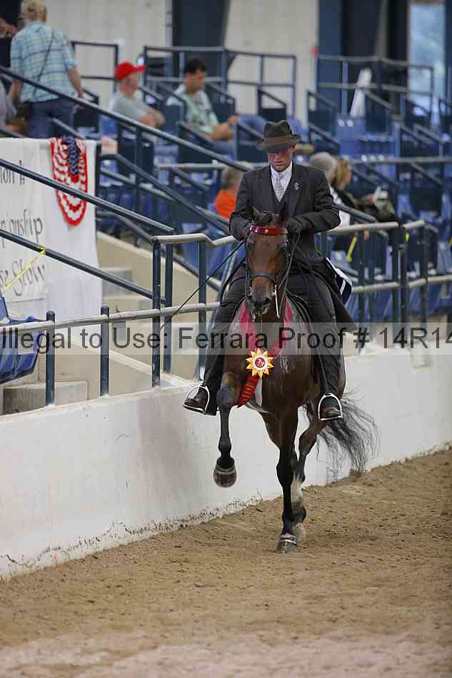 Proof Number 14r14_5629