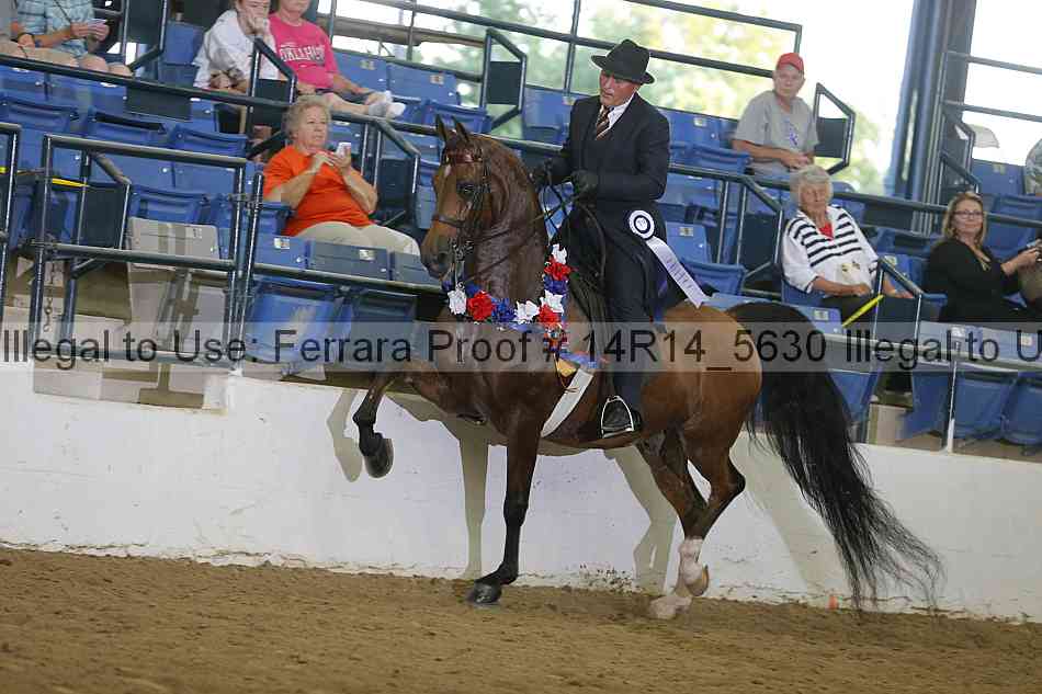 Proof Number 14r14_5630
