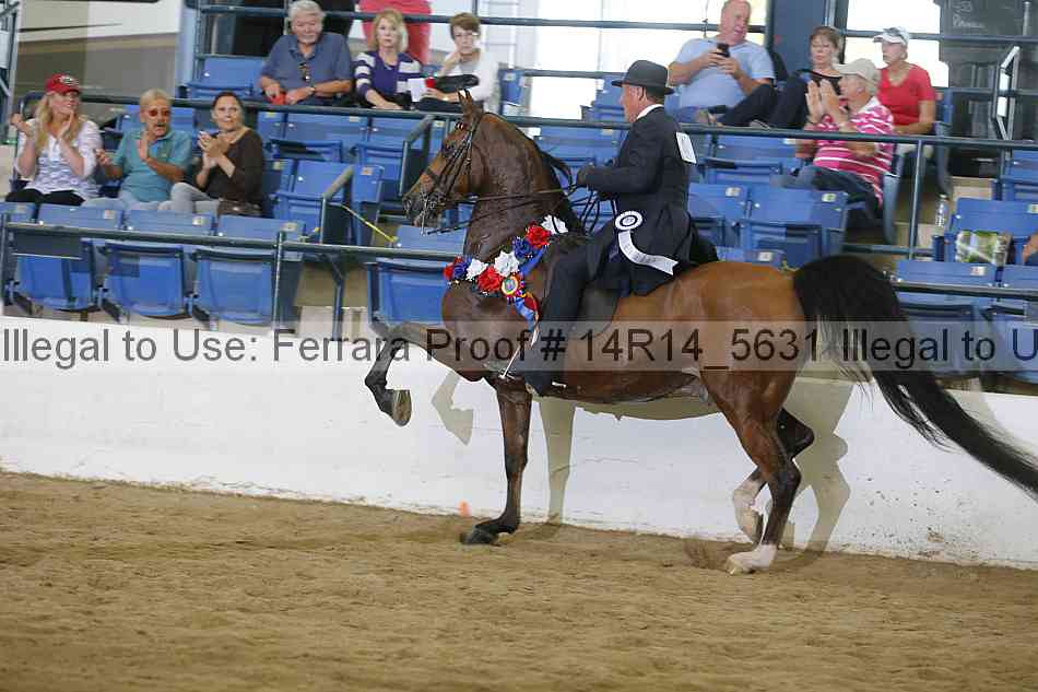 Proof Number 14r14_5631