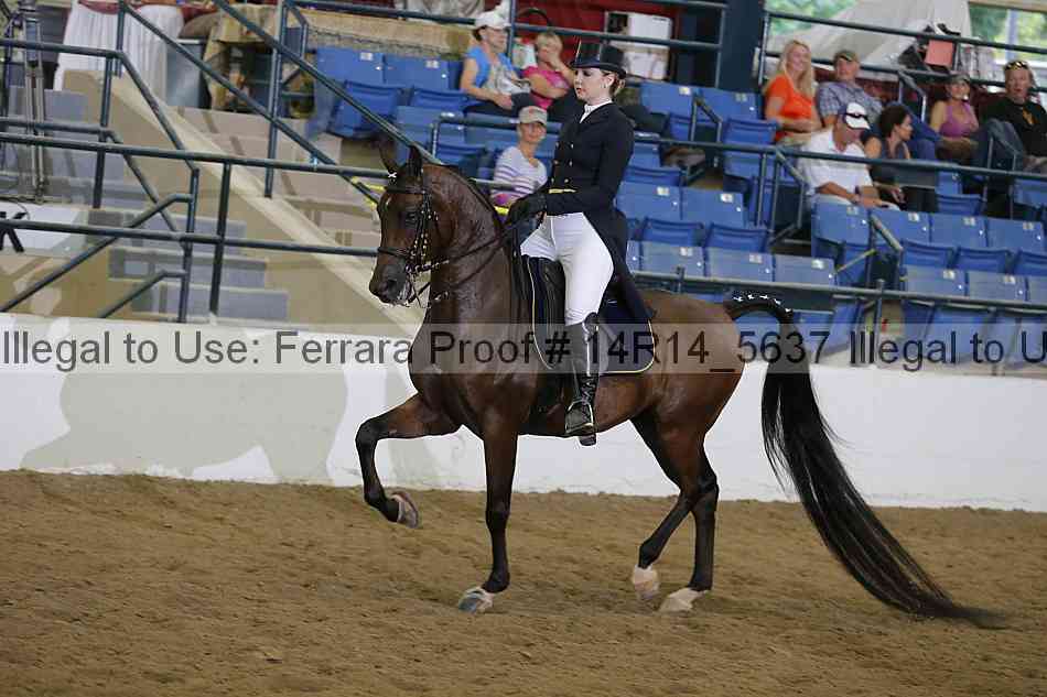 Proof Number 14r14_5637