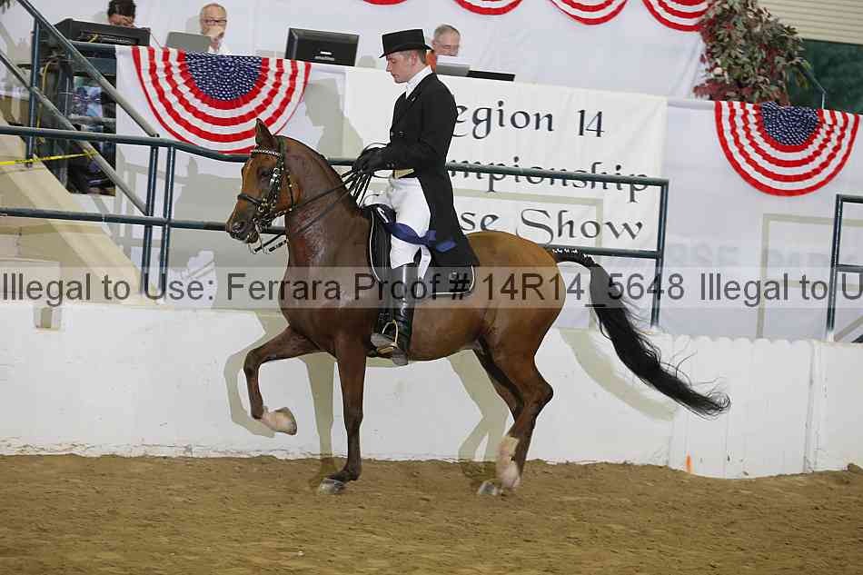 Proof Number 14r14_5648