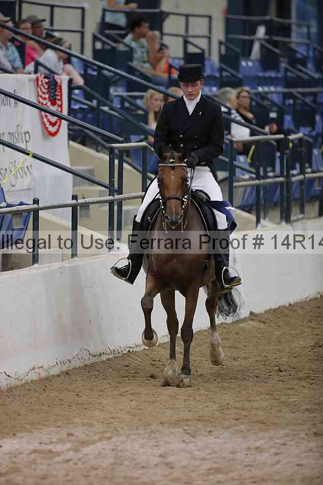 Proof Number 14r14_5649