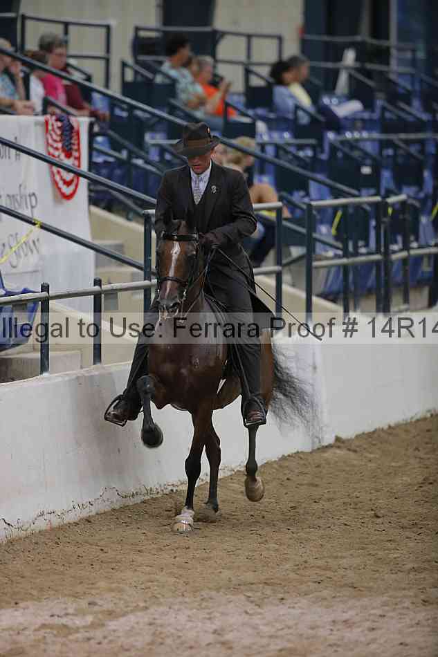 Proof Number 14r14_5663