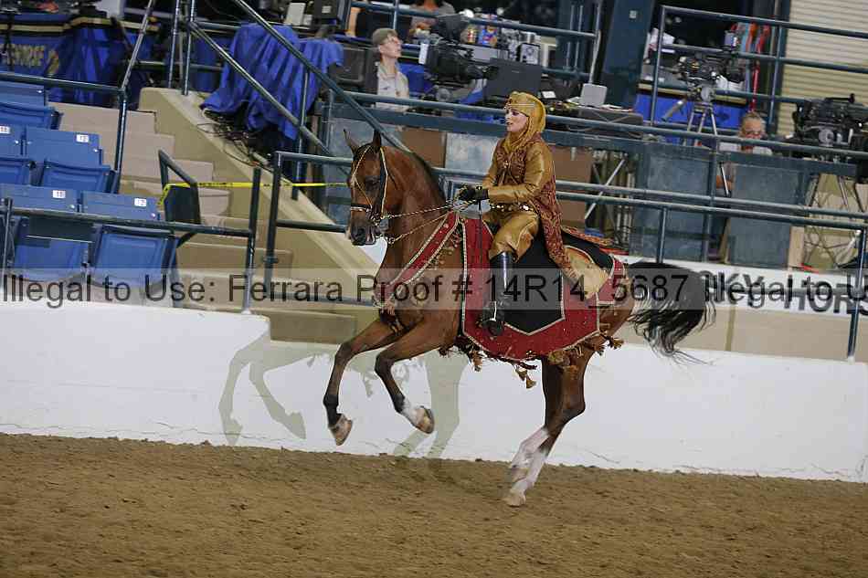 Proof Number 14r14_5687