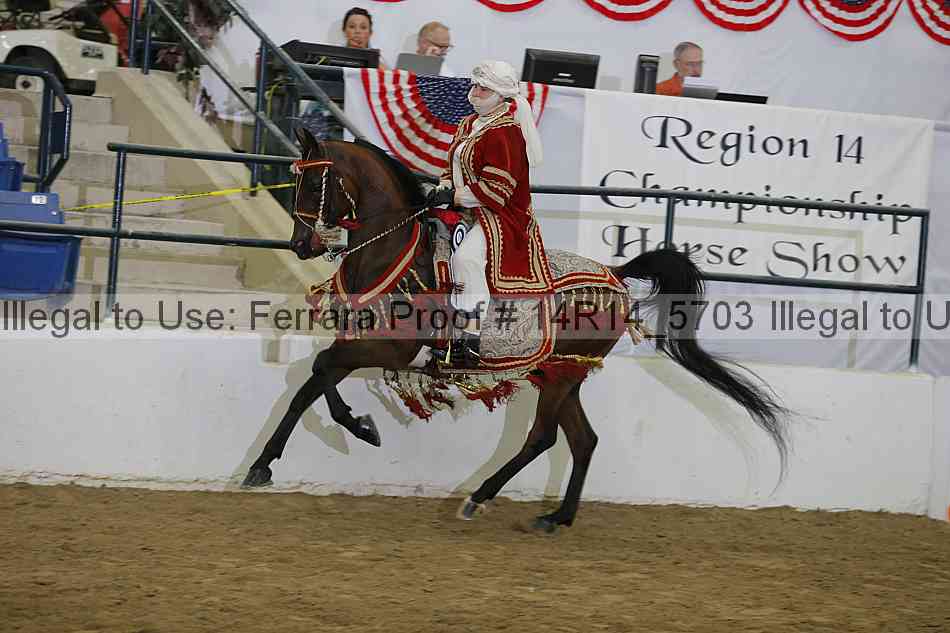 Proof Number 14r14_5703