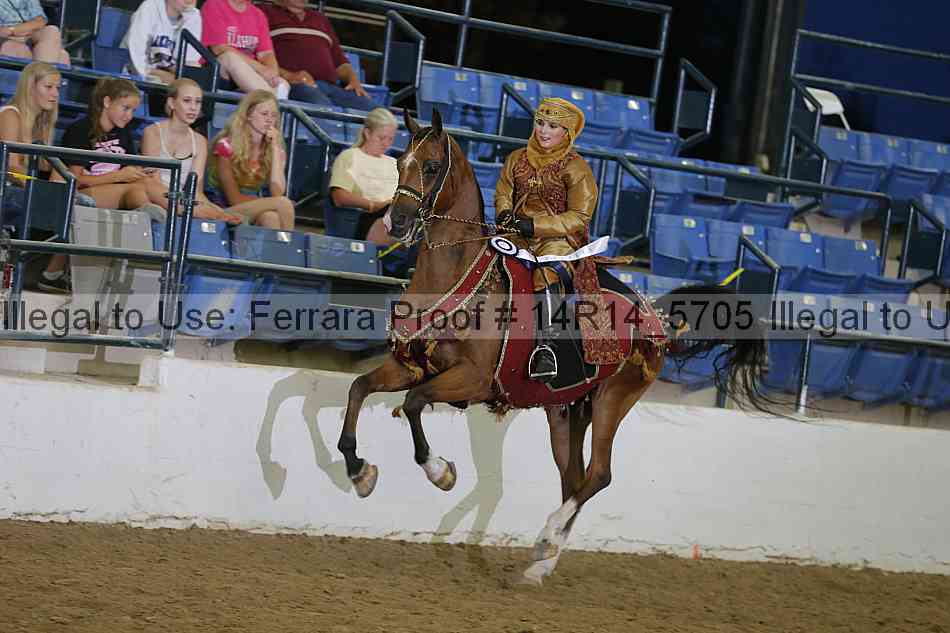 Proof Number 14r14_5705