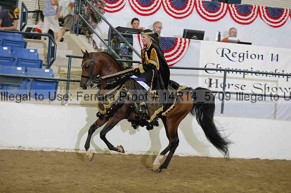Proof Number 14r14_5709