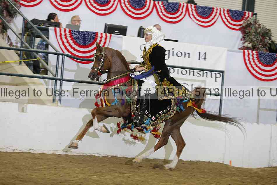 Proof Number 14r14_5713