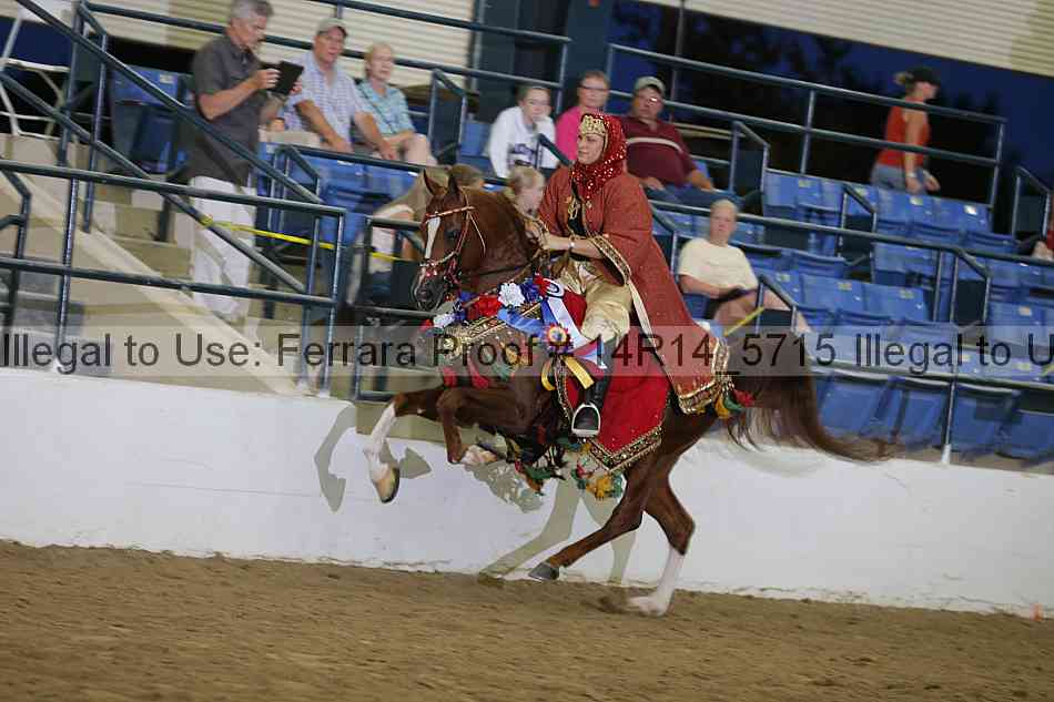 Proof Number 14r14_5715