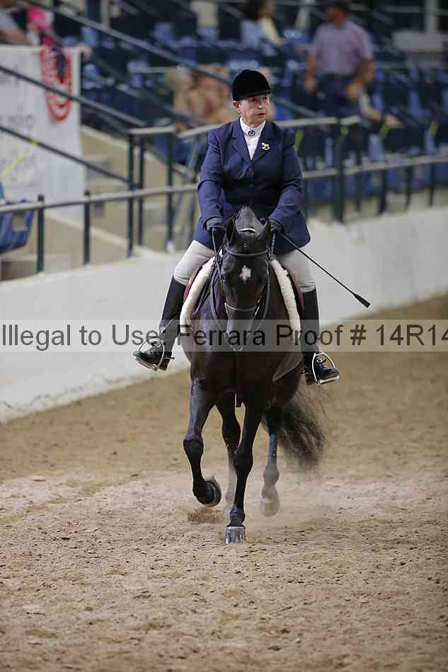 Proof Number 14r14_5743