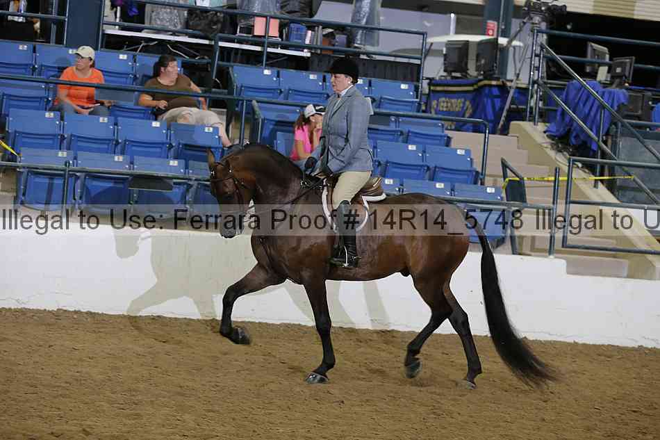 Proof Number 14r14_5748