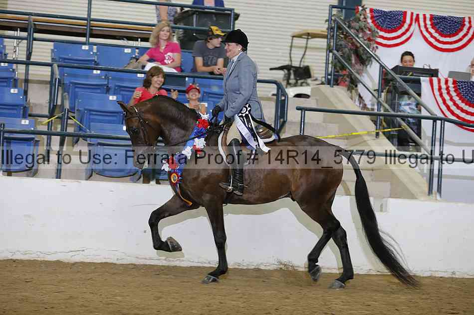 Proof Number 14r14_5779