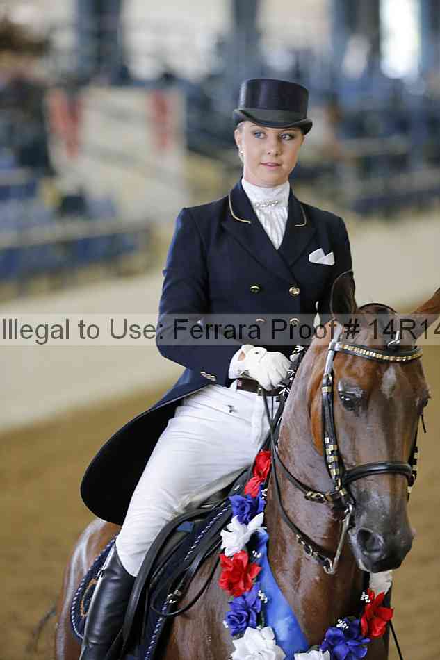 Proof Number 14r14_5843