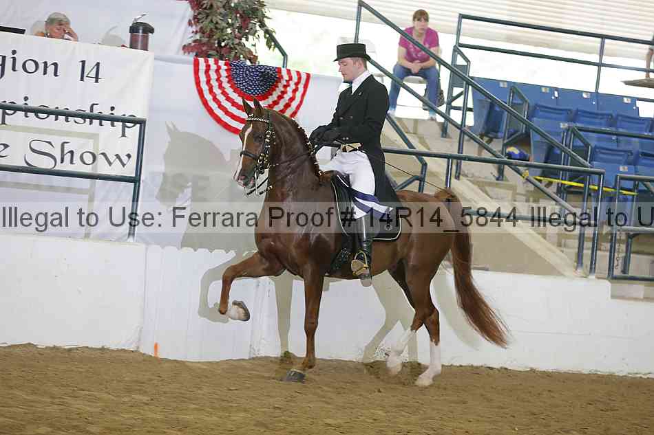Proof Number 14r14_5844
