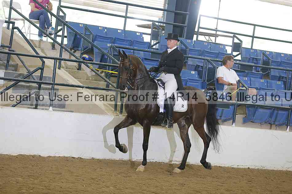 Proof Number 14r14_5846