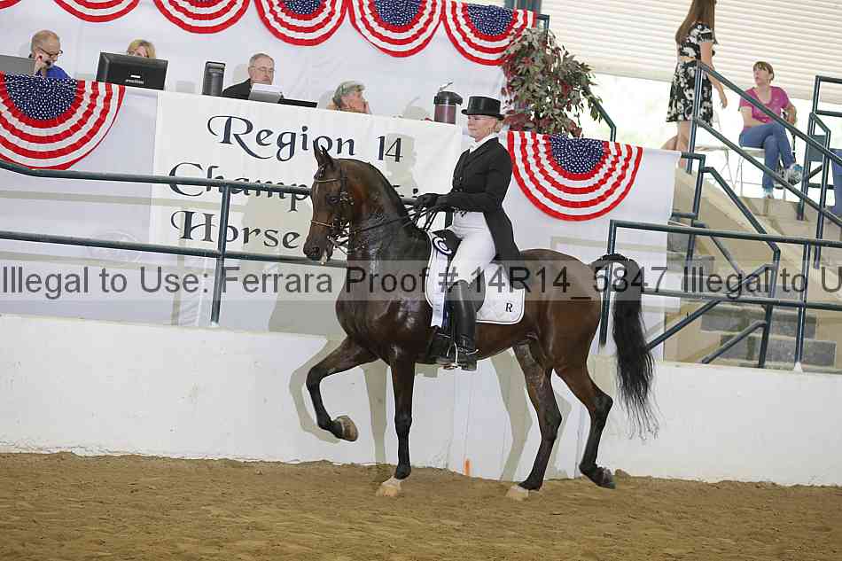 Proof Number 14r14_5847