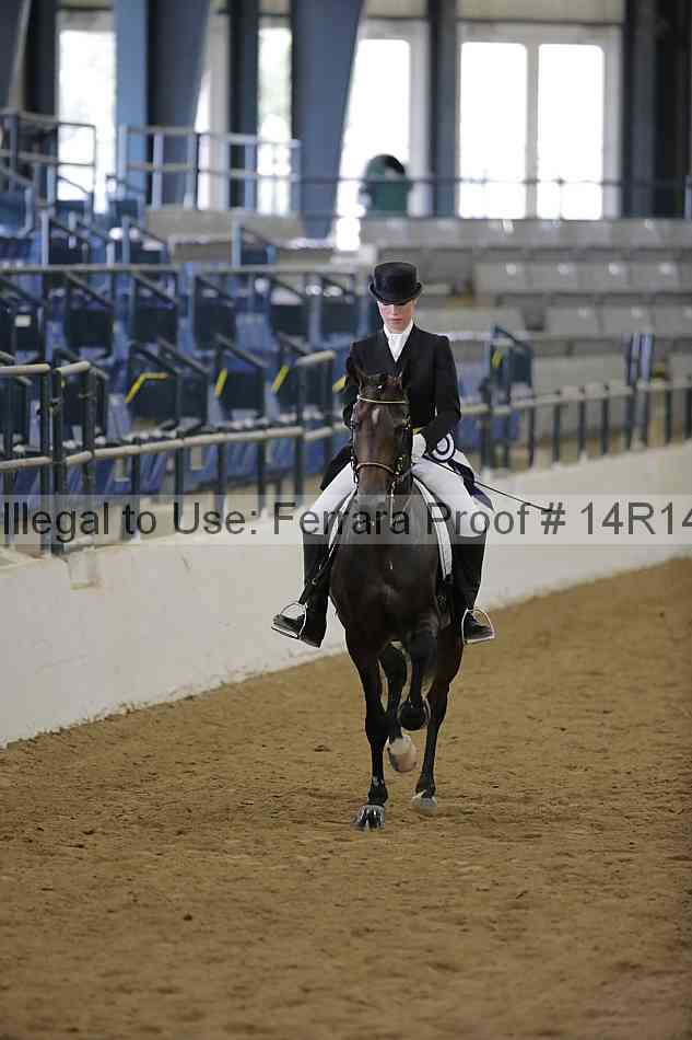 Proof Number 14r14_5853