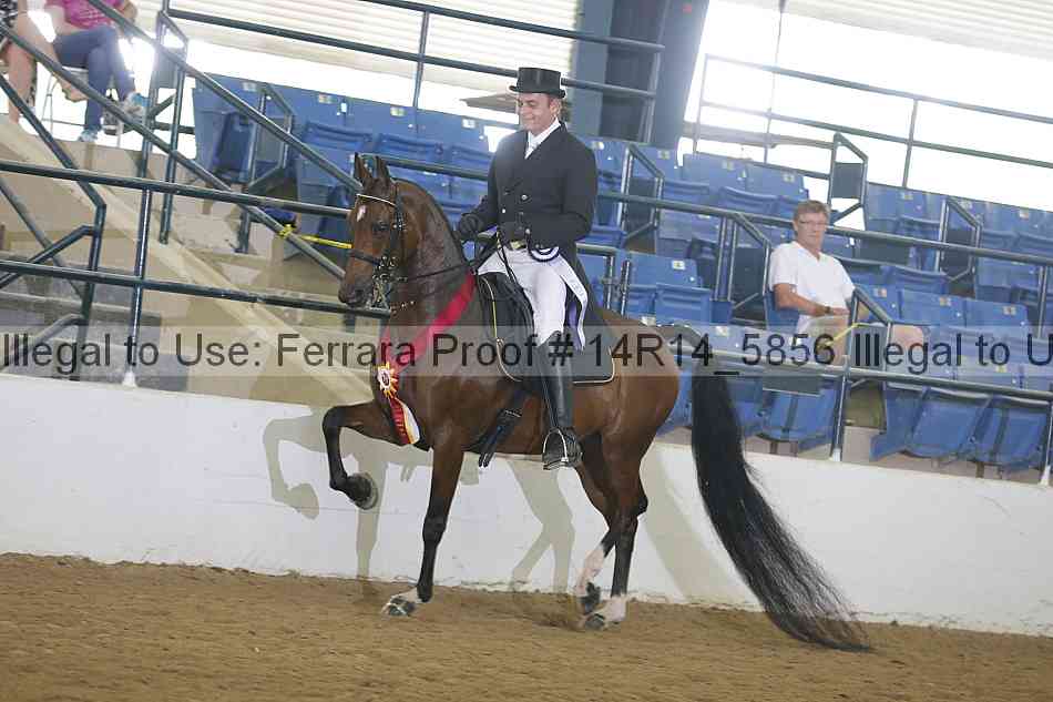 Proof Number 14r14_5856