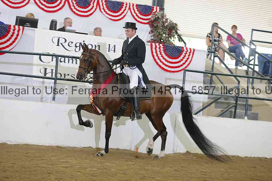 Proof Number 14r14_5857