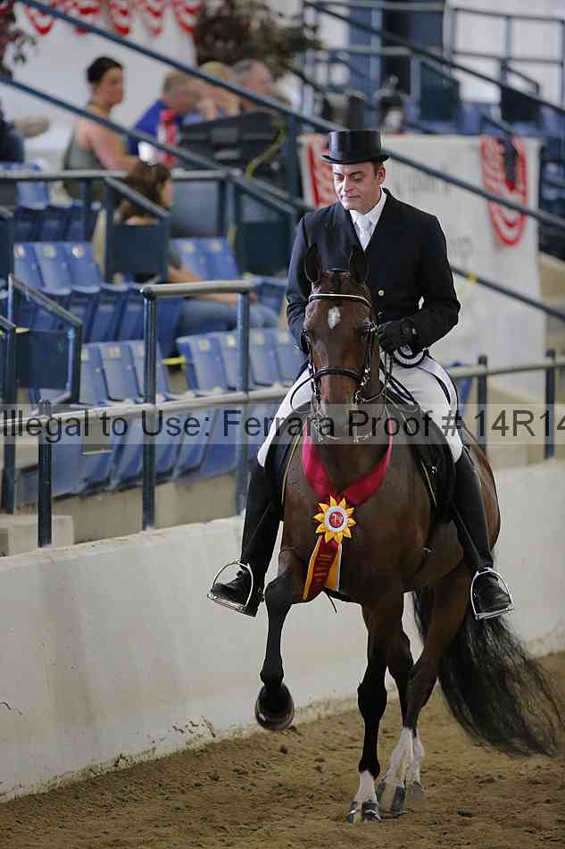Proof Number 14r14_5860
