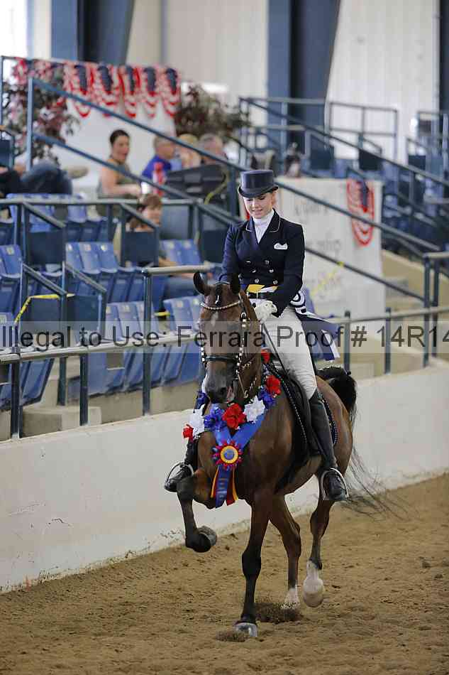 Proof Number 14r14_5866