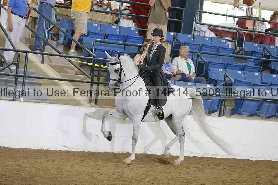 Proof Number 14r14_5908