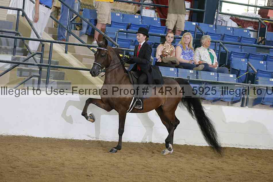Proof Number 14r14_5925