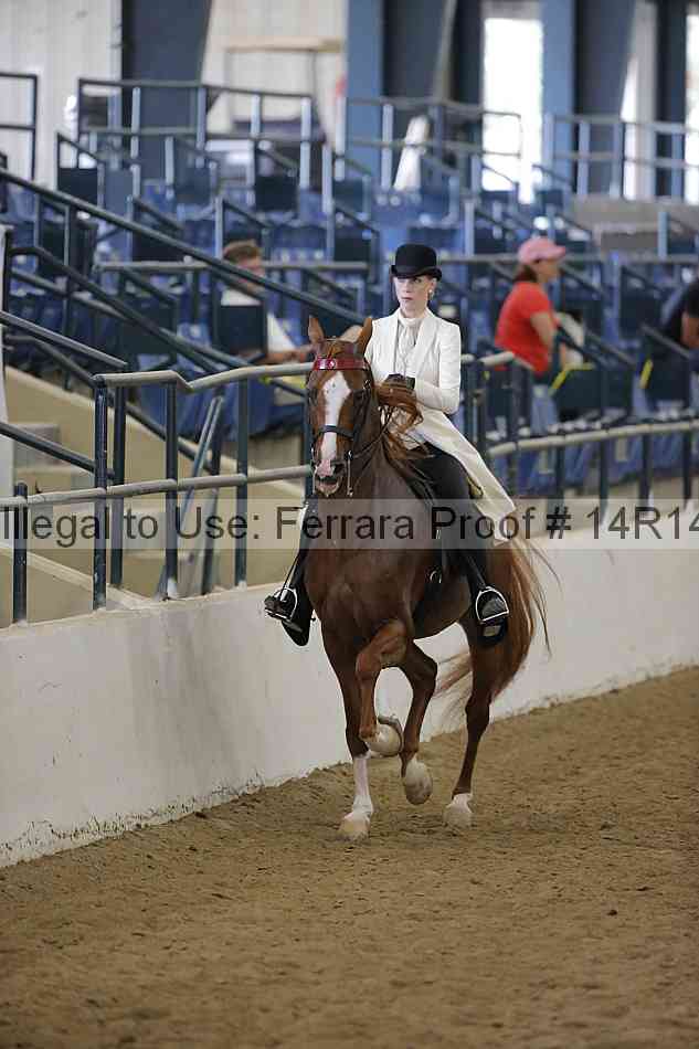 Proof Number 14r14_5928