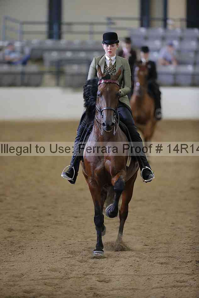 Proof Number 14r14_5931