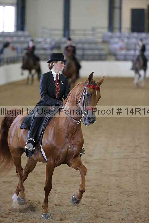 Proof Number 14r14_5933