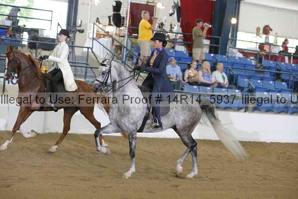 Proof Number 14r14_5937