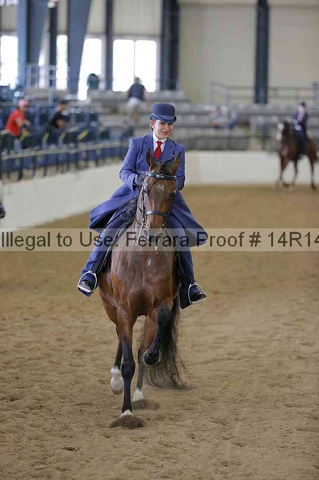 Proof Number 14r14_5942