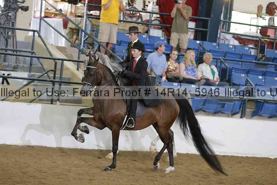 Proof Number 14r14_5946