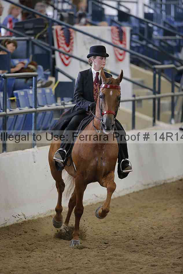 Proof Number 14r14_5951