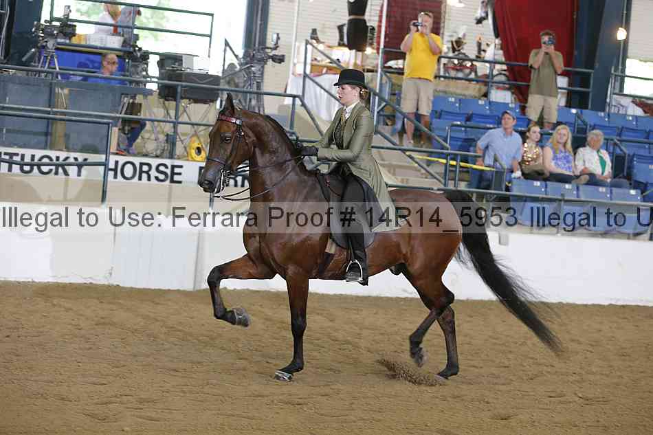 Proof Number 14r14_5953