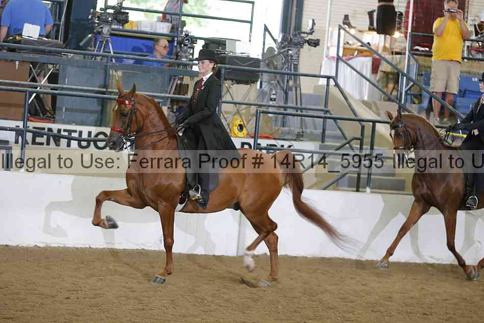 Proof Number 14r14_5955