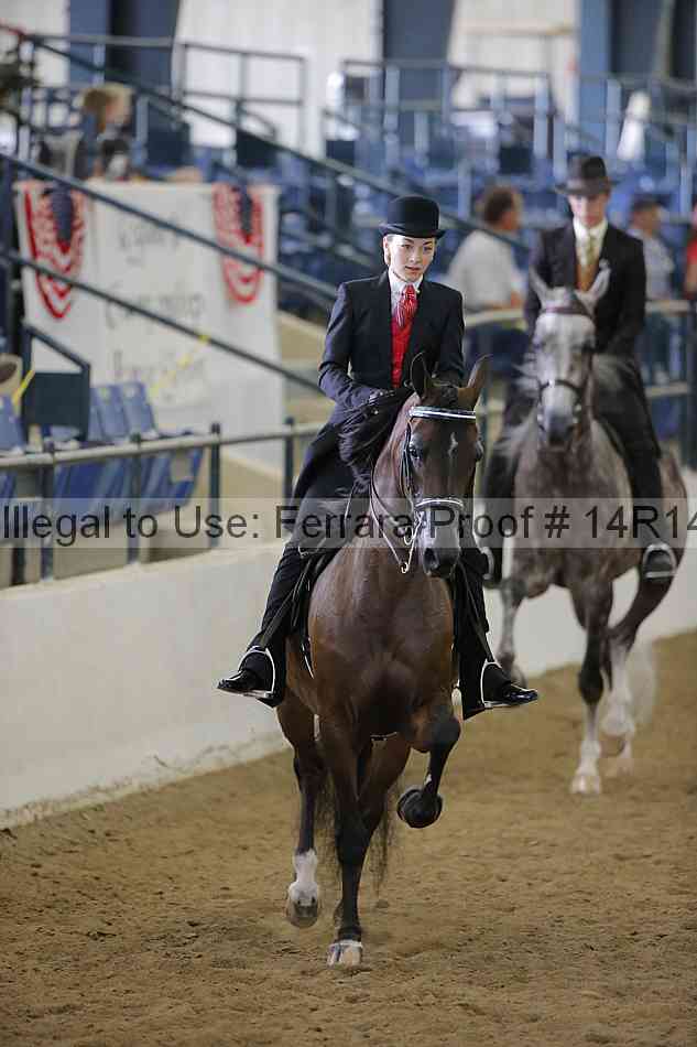 Proof Number 14r14_5962